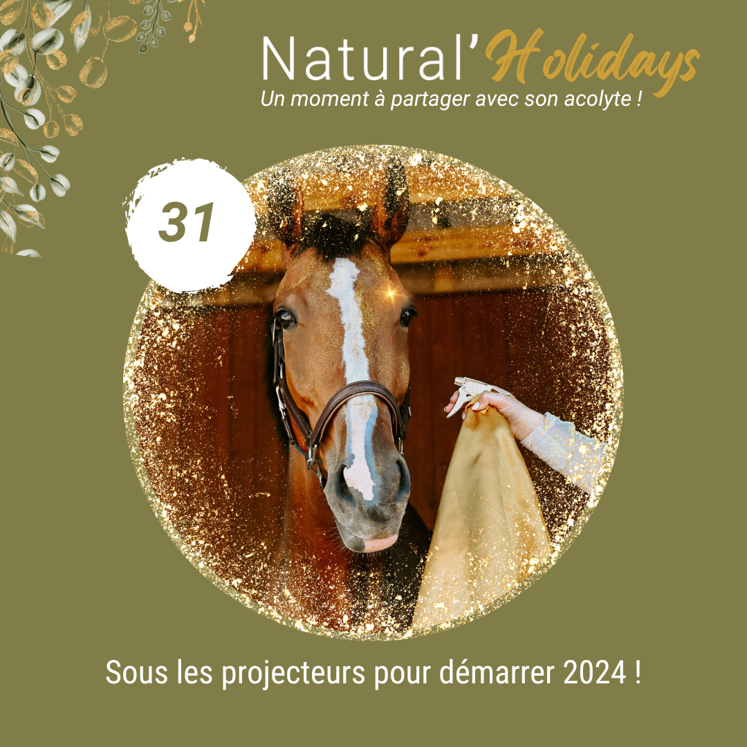 Calendrier de l'avent cheval Natural'Christmas Natural'Innov